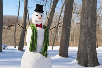 Download Wallpapers New Year, Christmas, Winter, Snowman, Scarf ...
