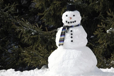 Snowman With A Scarf Wallpapers And Images   Wallpapers, Pictures ...
