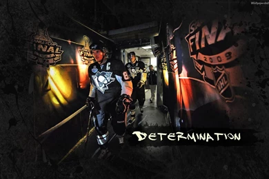 Pittsburgh Sidney Crosby After The Match Wallpapers And Images ...