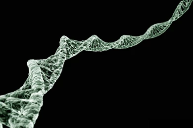 Dna Wallpapers 1600x1200   (