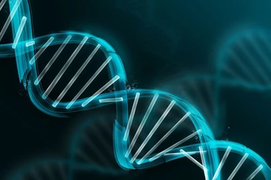 Dna Wallpapers   Wallpapers Cave