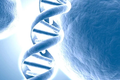DNA Strand Wallpapers   3D Wallpapers