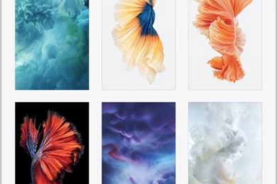 How To Make Live Wallpapers For iPhone 6s And iPhone 6s Plus