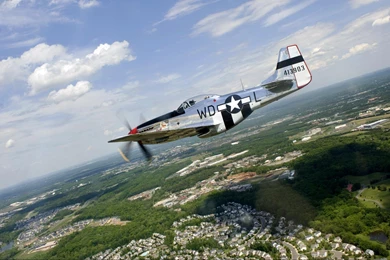 P51 MUSTANG GLAMOROUS GAL WALLPAPER   (