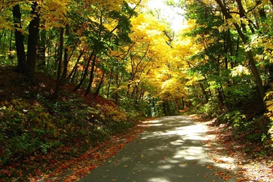 Autumn Screen Wallpapers   Wallpapers Cave