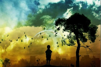 New Download Wallpapers   Wallpapers Zone