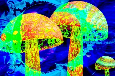 Trippy Mushroom Wallpapers Mobile