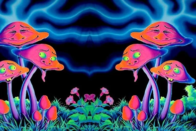 Psychedelic Mushroom Wallpapers Free HD Background Images Pictures