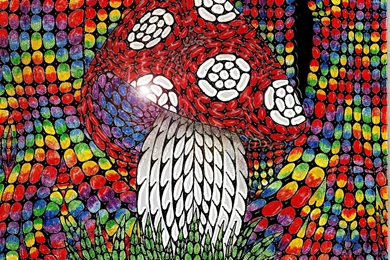 PSYCHEDELIC MUSHROOM FOREST WALLPAPER   (