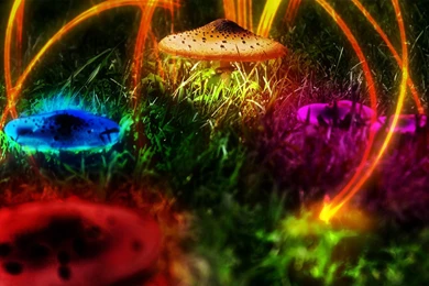 Psychedelic Wallpapers Psychedelic Art Wallpapers