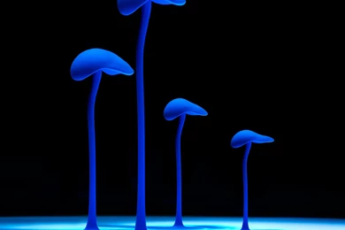 Psychedelic Computer Wallpapers, Desktop Backgrounds