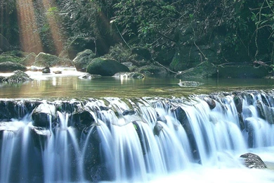 Free Wallpapers Screensavers   5 Items