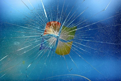 Free Horse Screensavers And Wallpapers