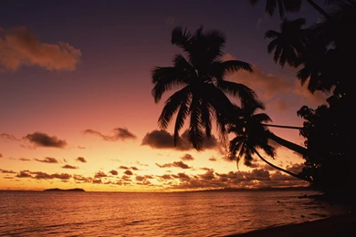 Nature: Island Sunset, Fiji, Picture Nr. 40411