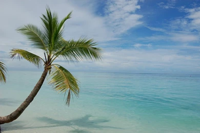 Vacation On Fiji Islands – Travel Around The World – Vacation Reviews