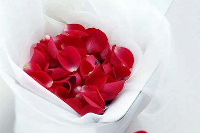 Gift Lover   Wallpapers Picture