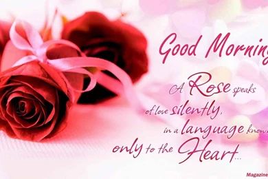 20+ Romantic Good Morning Couple And Love Images   Freshmorningquotes