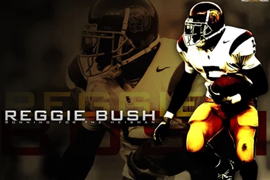 Reggie Bush Abstract Wallpapers NFL