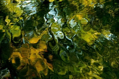 Ngpc painting water surface_26795_990x742.jpg