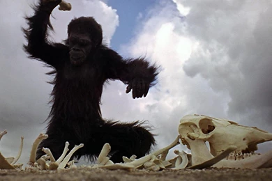 2001 A Space Odyssey Meaning Of Monolith Wallpapers   Free 2001 A ...