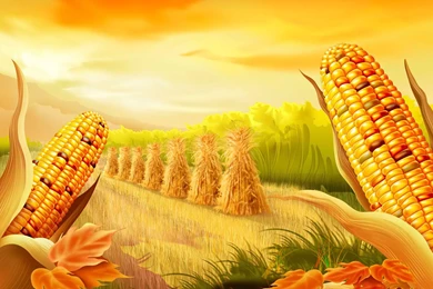 Free Thanksgiving PC Wallpapers   Wallpapers Cave