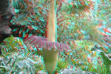 3d Wallpapers Free L1O   Savewallpaper.com