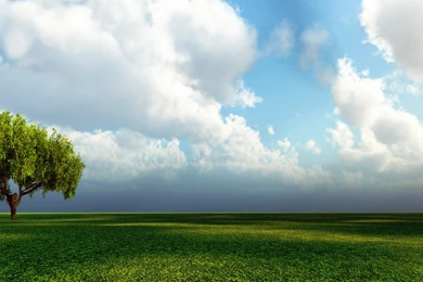 Stark Wolf Vs. Lannister Lion Dual Screen Wallpapers