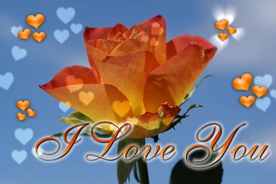 I Love You Wallpapers