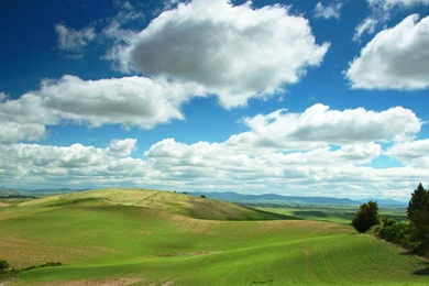 Free hq beautiful hd scenery hd wallpaper 1920x1080.jpg