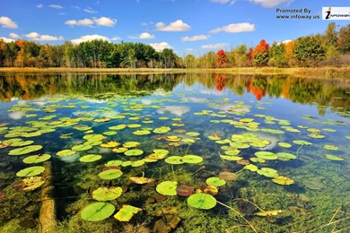 Beautiful Landscape Scenery   Photo 229 Of 395