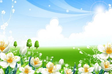 Birman Cats Desktop Wallpapers