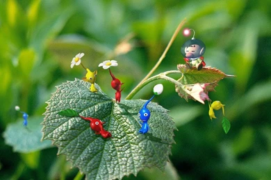 New Play Control! Pikmin Desktop Wallpapers