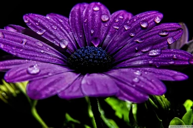 Beautiful Night Wallpapers Hd (28)