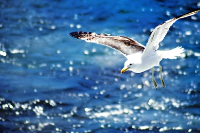 1920x1080px Stunnig Hd Beautiful Wallpapers