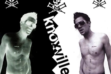 Jackass Graphics And Comments