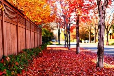 Best Mobile Wallpapers Full Hd Htjvj.com