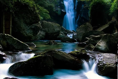 Hd Images Free Download   Widescreen HD Wallpapers