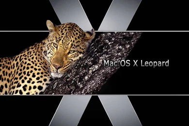 Cool Wallpaper, New Mac OS X Leopard Wallpapers