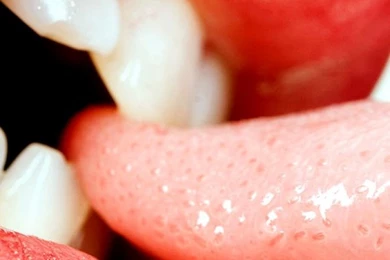 Download Wallpapers 750x1334 Kiss, Lips, Tongue, Biting, Play ...