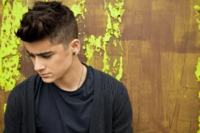 Fantastic Singer Zayn Malik Hair Style Handsome Free Download ...