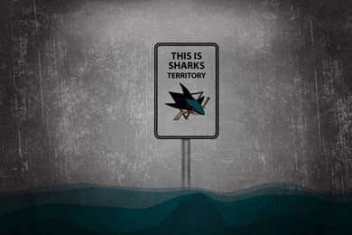 Sharks 2012 Chalkboard Wallpapers   Sharks fan.com