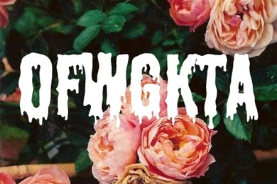 Ofwgkta odd Future golf Wang wolf Gang