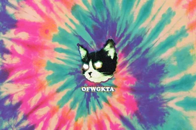 OFWGKTA Wallpapers HD   Bing Images