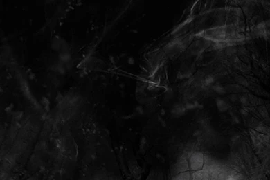 Smokey Forest Backgrounds By Asmodeisis On DeviantArt