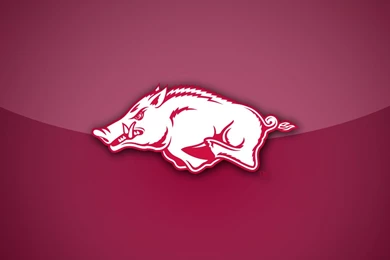 Razorback Wallpapers HD Bing Images