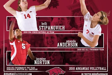 Wallpapers Volleyball For Season University Of Arkansas 1024x768 ...