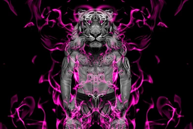 Fantasy Muscle Fire Boy Tiger 2014 HD Wallpapers « El Creative