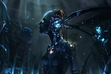 Bodybuilding Girls Sports Fitness Muscle Women Females Sexy Babes ...