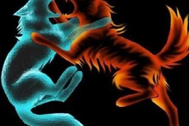 FIRE AND ICE FIGHTING WOLVES WALLPAPER   (