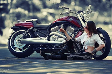 HD Best Harley Davidson Computer Wallpapers Full Size ...